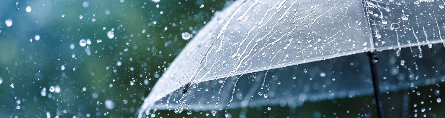 California Umbrella Insurance Coverage